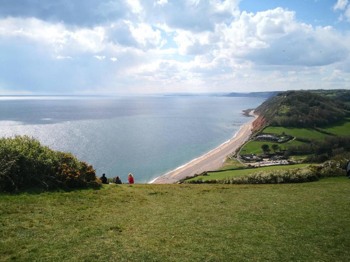 Lovely 2-Bed Apartment Colyton, Nr. Jurassic Coast Buitenkant foto